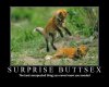 surprise-buttsex.jpg
