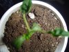 DSC00440.jpg