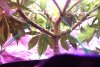 IMG_4858.JPG IMG_4858.JPG