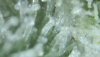 2020-03-08-030057.jpg