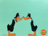 1583893008968.gif