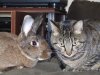 Cheech & Bobbi.JPG Cheech & Bobbi.JPG