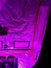 IMG_20200317_175734.jpg