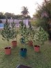 IMG_0747.jpeg