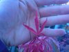 DSC02167.jpg