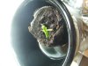 grow #003 (2).jpg