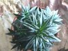 May162007-VID00007_5.jpg