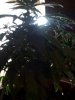 May162007-VID00008_3.jpg