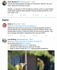 Screen Shot 2020-04-01 at 11.45.35 AM.png