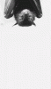 giphy - 2020-04-03T234823.589.gif