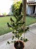 IMG_0847.jpeg