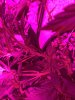 2F182018-C63C-4E88-96AF-0A84AF35FFAD.jpeg