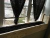 08701163-D697-482F-BF72-AD5B39844301.jpeg