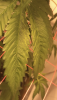 35B5DE17-B297-4BA6-A6FB-5E92E3569F93.png