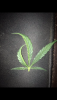 6C3A5064-1860-4DE1-B7A0-9415157F0983.png