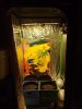 20200408_074240.jpg