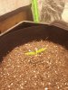 20200408_120342.jpg