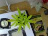 22052009058.jpg