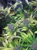 205E495E-ACE0-4EEE-8CBD-5DA910321452.jpeg