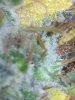 F75293A9-65CC-46DA-88F6-D80126B13E79.jpeg