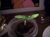 100_5860.jpg