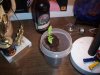 100_5869.jpg