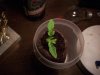 100_5871.jpg