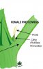 Female Preflower.jpg