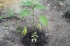 2009_05240006.jpg