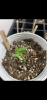 E7B7C886-7F3E-4B5A-AD63-F6CC6F083B87.png