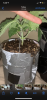 A1B7914F-E5E7-4740-879D-D7C1C05B79F0.png