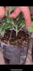 8F12CB59-9AD4-46AA-9C35-EBD94BEF95B3.png