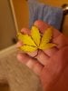 20200421_101612.jpg