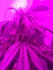 10F418A9-D567-4EE7-8ECB-BE9CA14F7B69.jpeg