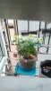 IMG-20200425-WA0012.jpeg