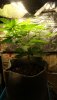IMG-20200422-WA0002.jpeg