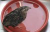 Danquail Bath.jpg