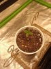 20200429_062835.jpg