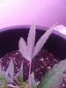 20200429_130619.jpg