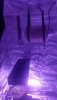 95308474_260982538610371_5891117184897253376_n.jpg