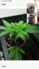 BF2728F0-CC77-49C0-BA68-8AFD71921C34.png