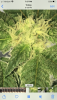 47E452C6-037F-45D7-B199-D7A218011B84.png