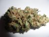 420 AK.jpg