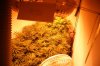 pics 004.jpg