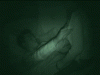 Ro9ZK8q.gif