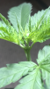 64221C5F-046B-46C9-BA6C-E72942656516.png