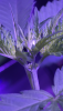9F0975A6-1874-4C80-8406-C5B4DFD9684B.png