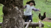 chickc.gif