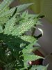IMG_20200516_144236_1.1.jpg