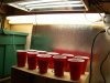 100_4430.jpg